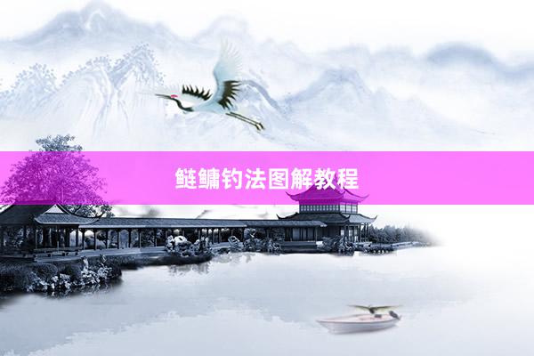 鲢鳙钓法图解教程