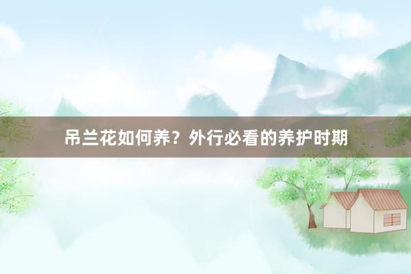 吊兰花如何养？外行必看的养护时期